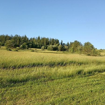 Villa Cicho Sza Czarna Gora Luaran gambar