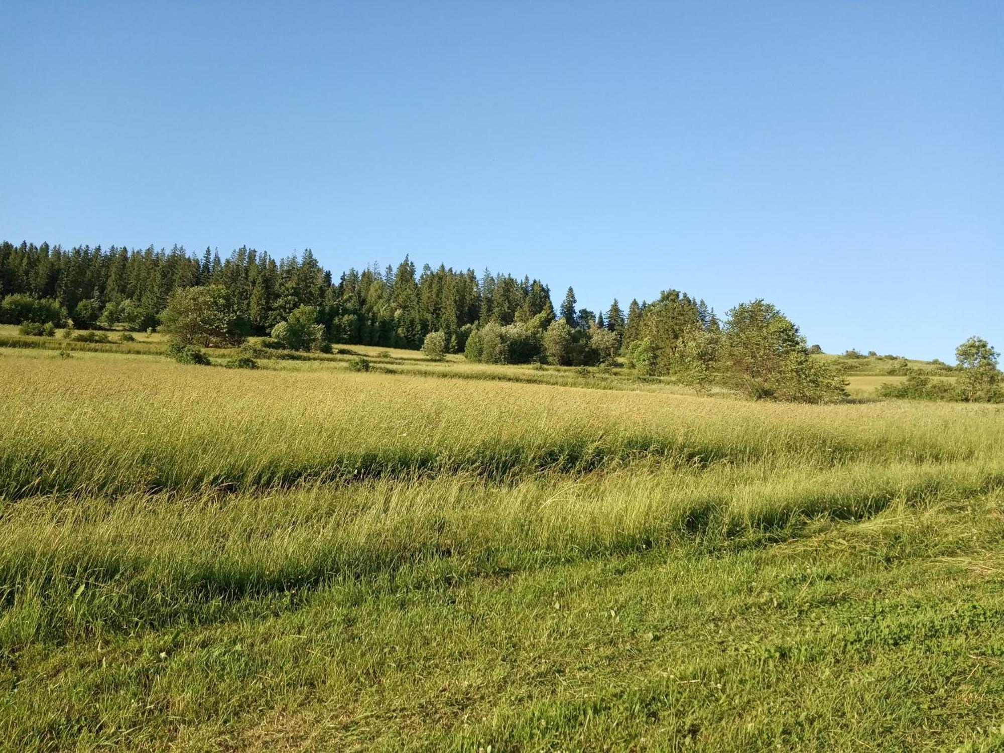 Villa Cicho Sza Czarna Gora Luaran gambar